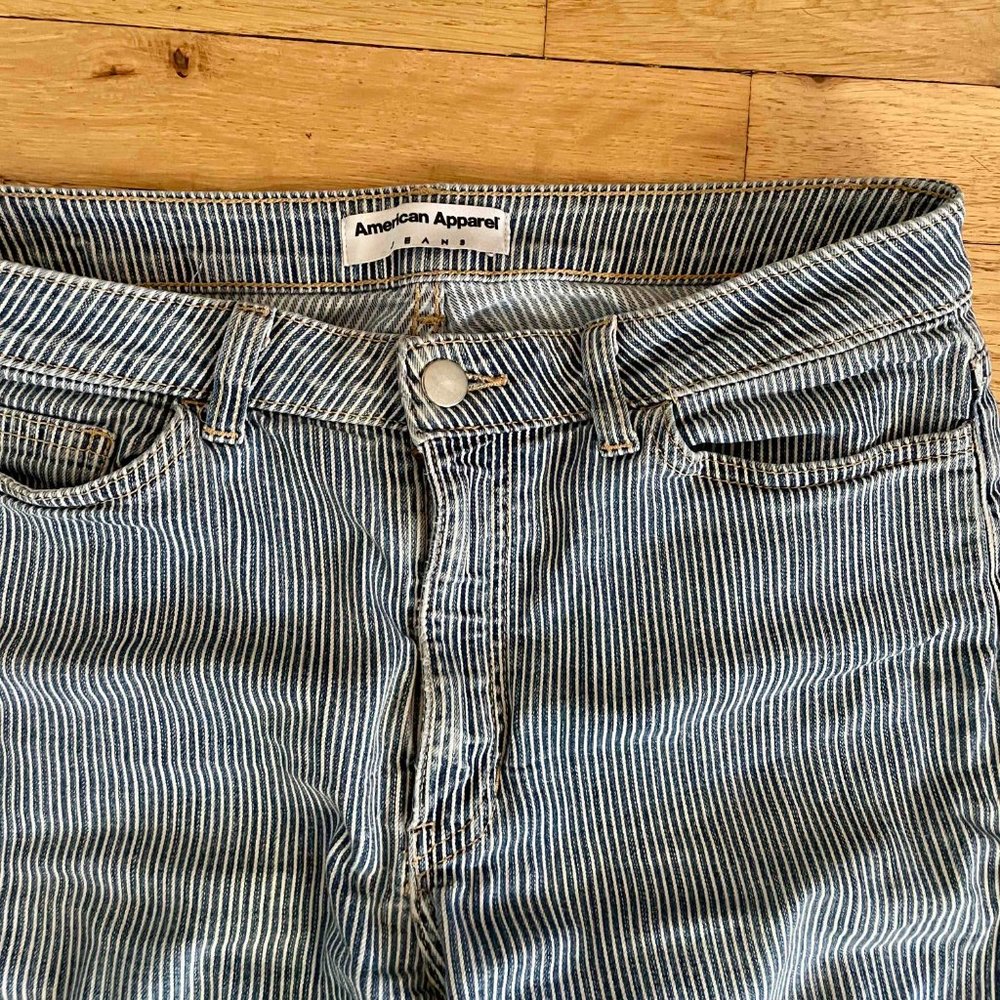 American Apparel High Waisted Striped Skinny Jeans